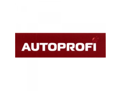 Ремкомплект Autoprofi Rem-30 master