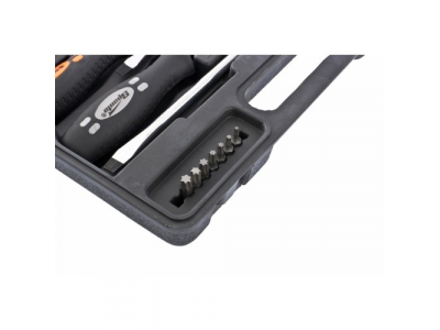 Набор отверток, биты, двухкомпонентные рукоятки, 21 предмет//SPARTA