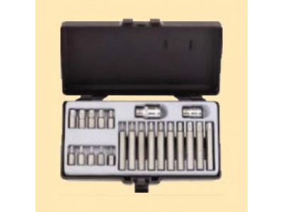 4222 1/2" 3/8" Набор бит Star Tamper с держат. 22пр.