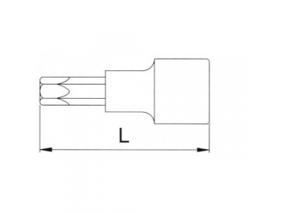 Головка торцевая с вставкой torx 1/2" T80 L=100мм